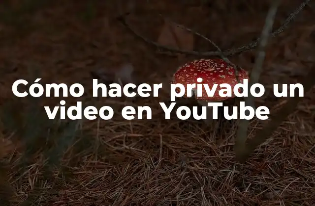 Cómo hacer privado un video en YouTube