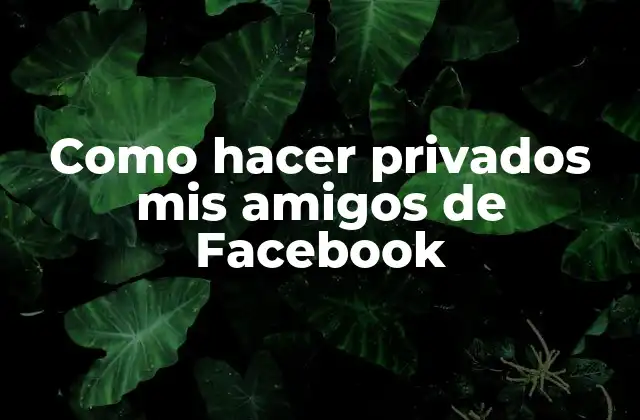 Configuración de la privacidad de amigos en Facebook