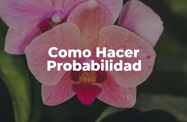 Como Hacer Probabilidad