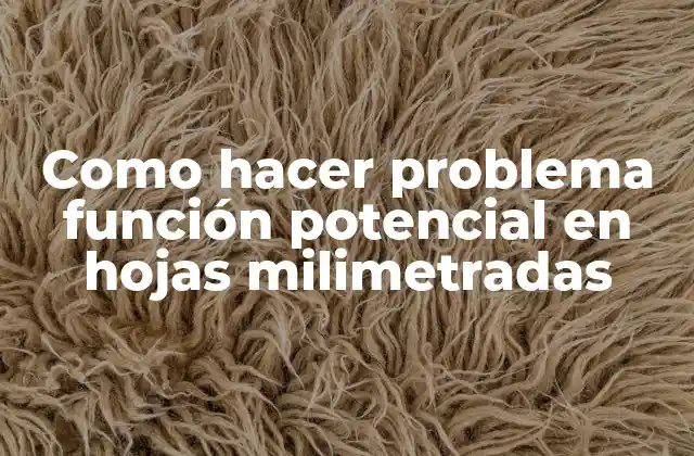Como Hacer Problema Función Potencial en Hojas Milimetradas