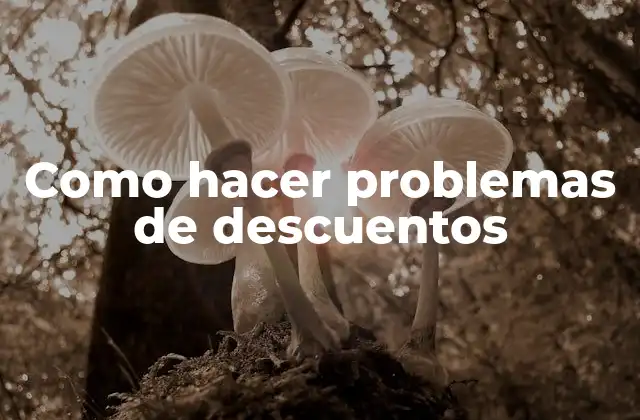 ¿Qué son los problemas de descuentos?