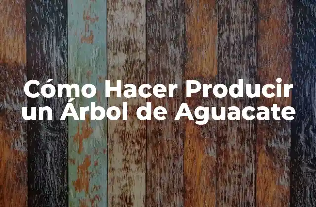 Cómo Hacer Producir un Árbol de Aguacate