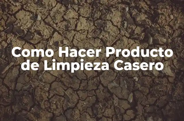 Como Hacer Producto de Limpieza Casero