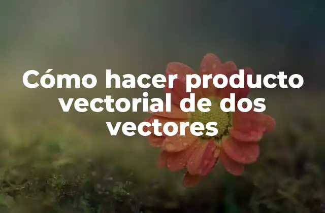 Cómo Hacer Producto Vectorial de Dos Vectores