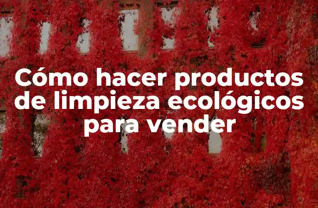Cómo hacer productos de limpieza ecológicos para vender