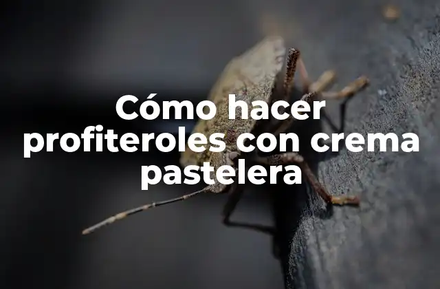 Cómo hacer profiteroles con crema pastelera