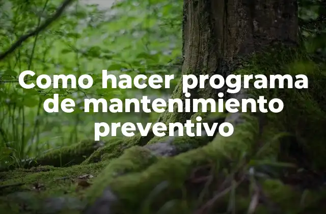 Como Hacer Programa de Mantenimiento Preventivo