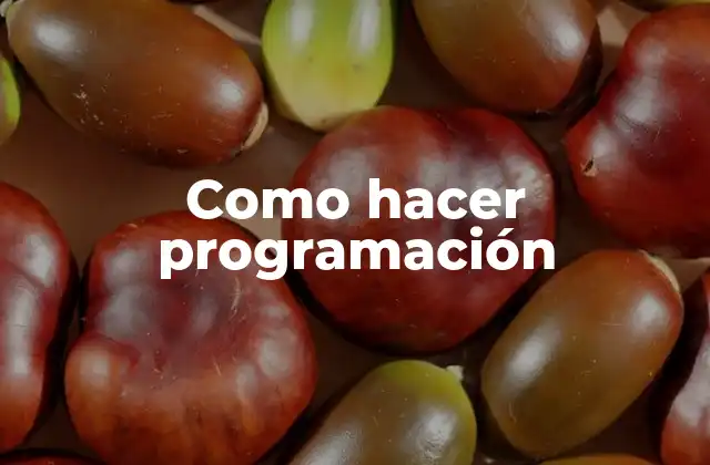 Como Hacer Programación