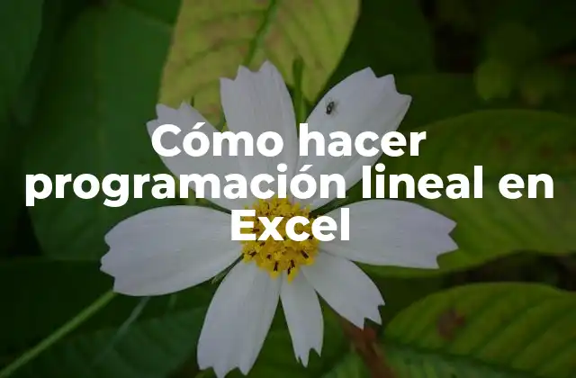 Cómo Hacer Programación Lineal en Excel