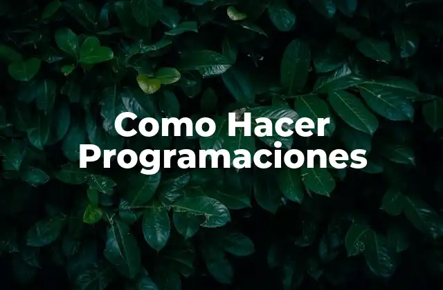 Como Hacer Programaciones
