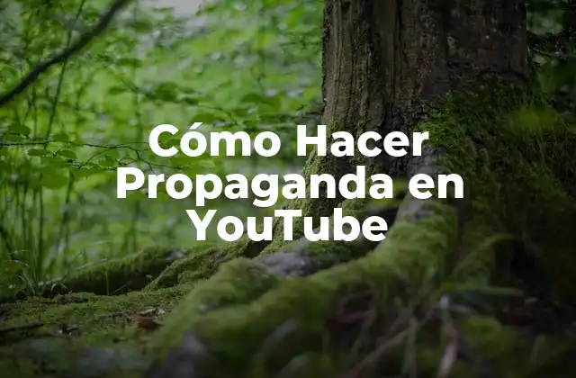 Cómo Hacer Propaganda en YouTube