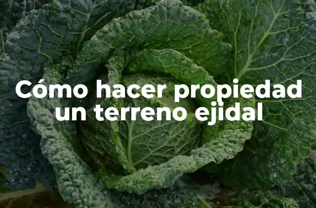 Cómo Hacer Propiedad un Terreno Ejidal