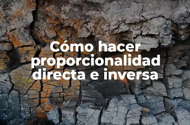 Cómo Hacer Proporcionalidad Directa e Inversa