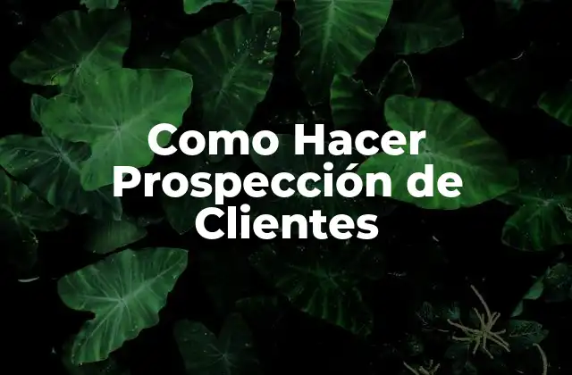 Como Hacer Prospección de Clientes