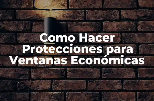 Protecciones para Ventanas Económicas