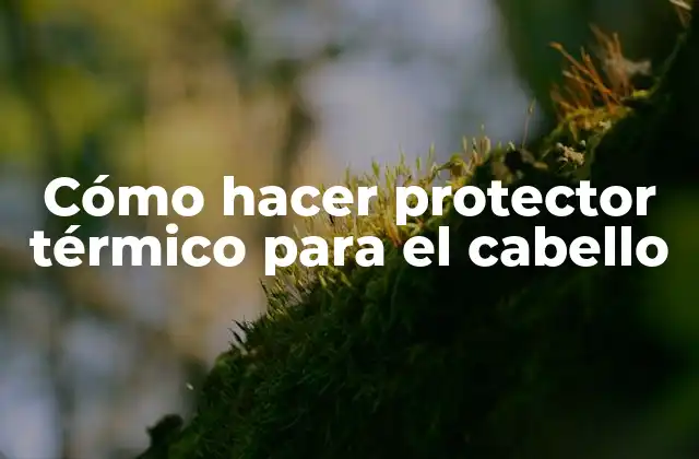 Cómo Hacer Protector Térmico para el Cabello