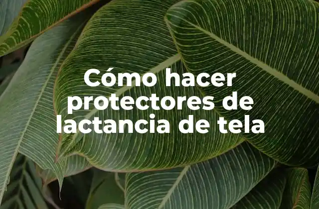 Cómo Hacer Protectores de Lactancia de Tela