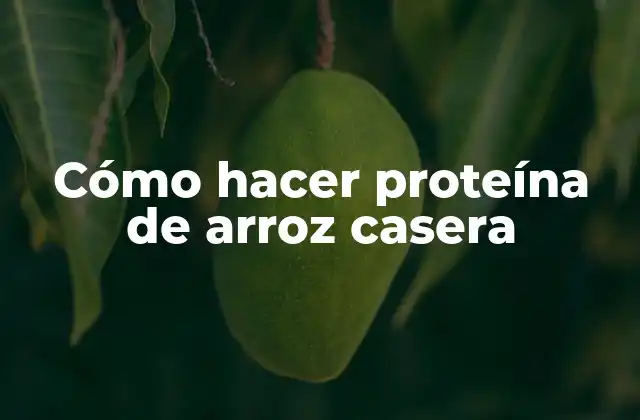 Cómo Hacer Proteína de Arroz Casera