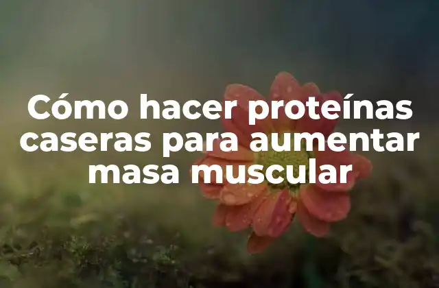 Cómo Hacer Proteínas Caseras para Aumentar Masa Muscular
