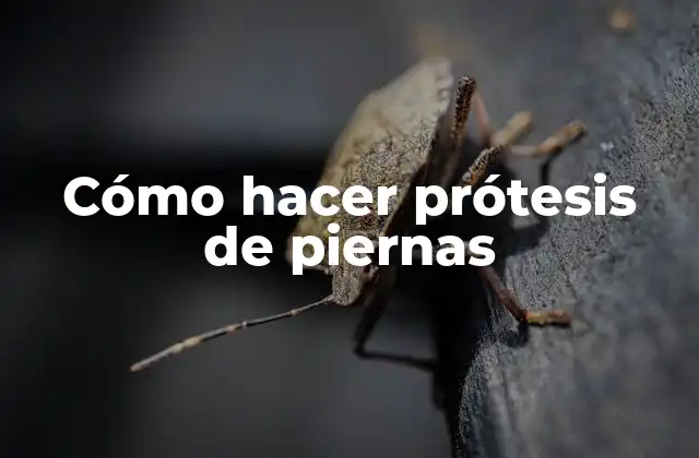 Cómo Hacer Prótesis de Piernas