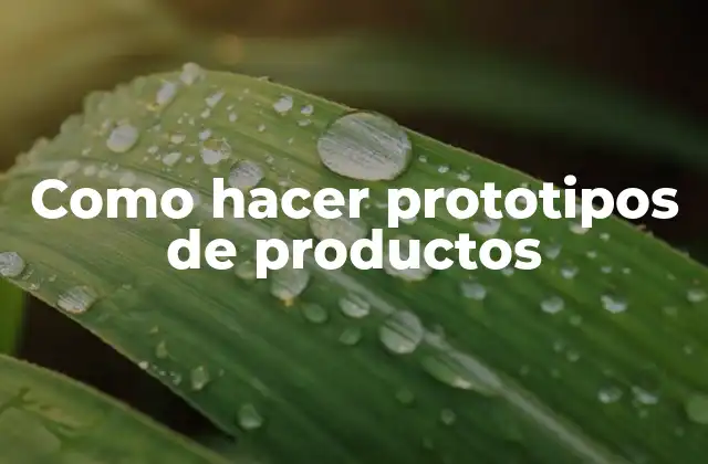 Como Hacer Prototipos de Productos
