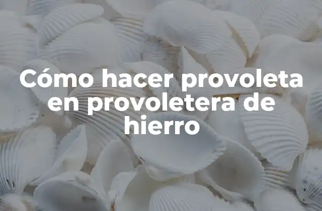 Cómo Hacer Provoleta en Provoletera de Hierro 2 ¿Qué es la provoleta y para qué sirve?