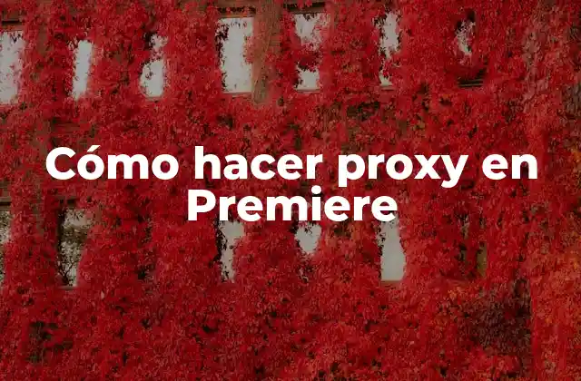 ¿Qué son los proxies en Premiere Pro?