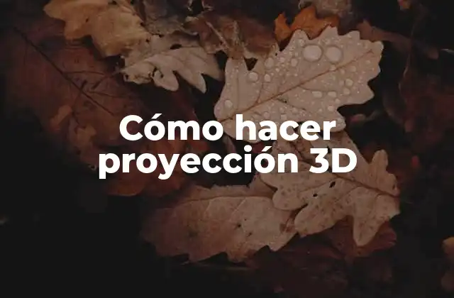 Cómo Hacer Proyección 3d