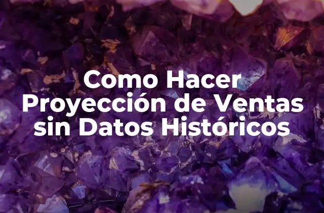 Como Hacer Proyección de Ventas sin Datos Históricos