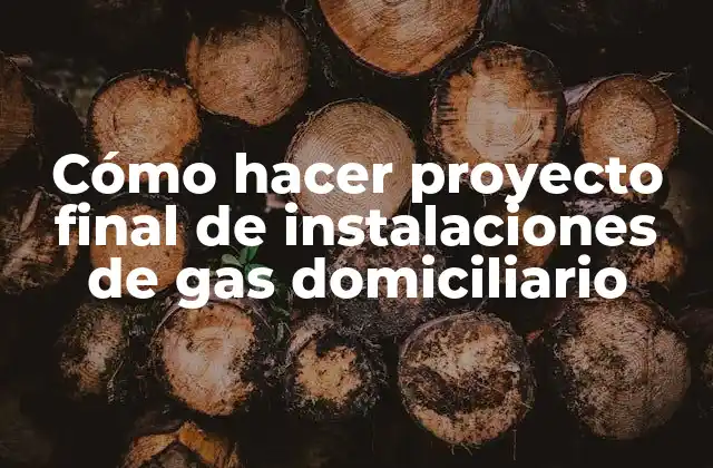 Cómo Hacer Proyecto Final de Instalaciones de Gas Domiciliario