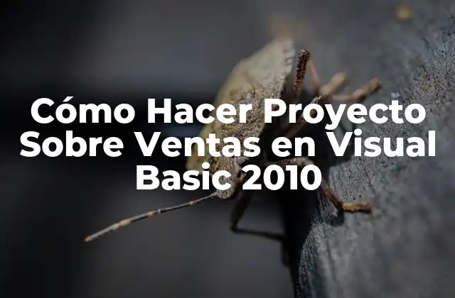Cómo Hacer Proyecto sobre Ventas en Visual Basic 2010 2 ¿Qué es un Proyecto de Ventas en Visual Basic 2010?