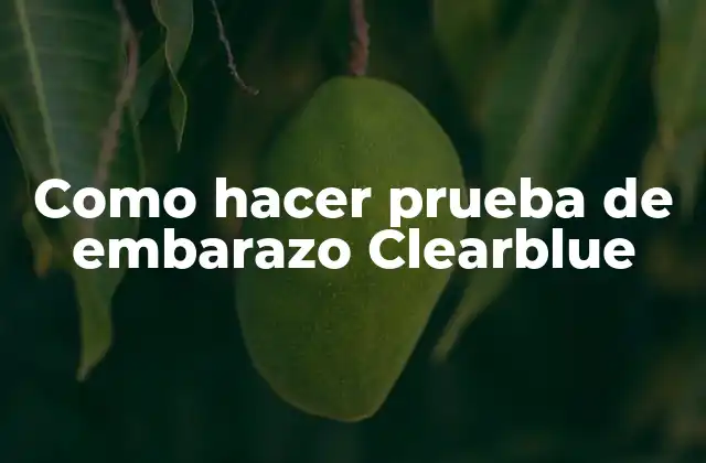 ¿Qué es una prueba de embarazo Clearblue?