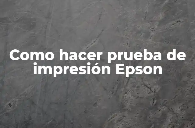 Como Hacer Prueba de Impresión Epson