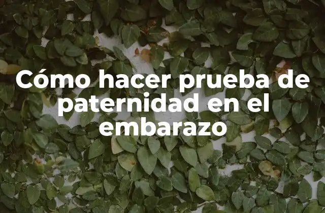 Cómo Hacer Prueba de Paternidad en el Embarazo