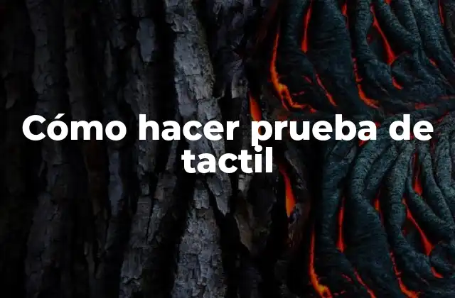 Cómo Hacer Prueba de Tactil