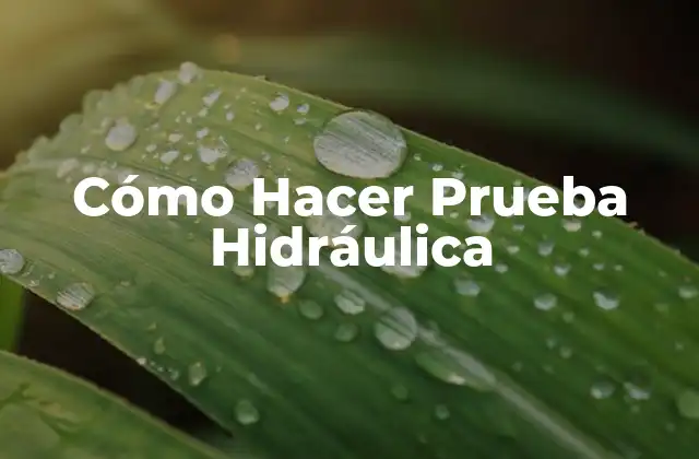 Cómo Hacer Prueba Hidráulica
