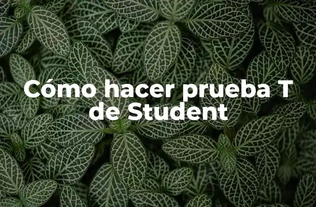 Cómo Hacer Prueba T de Student 2 ¿Qué es la prueba T de Student?