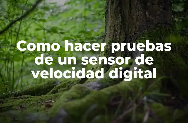 Como Hacer Pruebas de un Sensor de Velocidad Digital