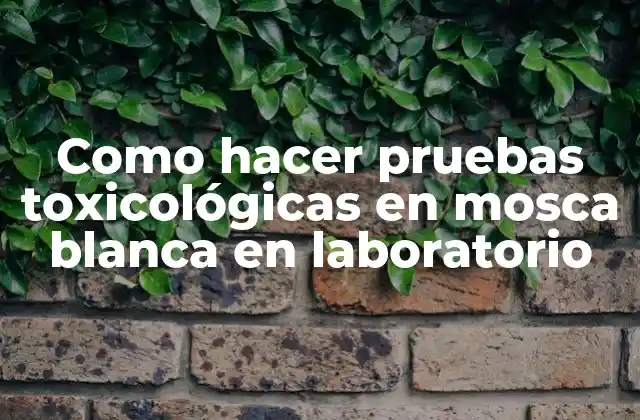 Pruebas toxicológicas en mosca blanca en laboratorio
