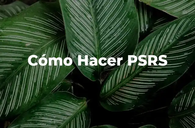 Cómo Hacer Psrs 2 ¿Qué es un PSRS y Para Qué Sirve?