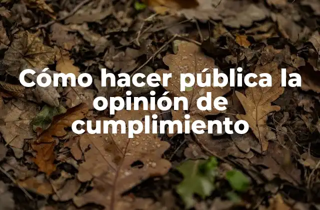 Cómo Hacer Pública la Opinión de Cumplimiento