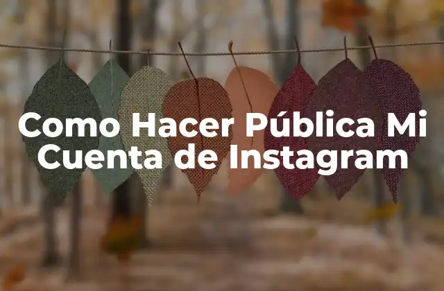 Como Hacer Pública Mi Cuenta de Instagram