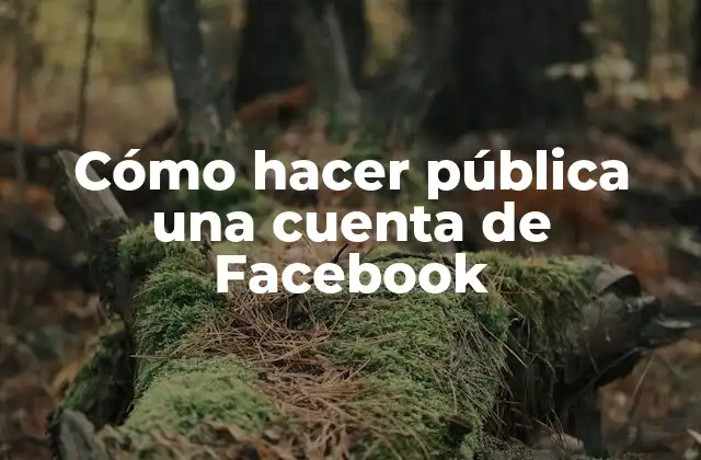 Cómo Hacer Pública una Cuenta de Facebook