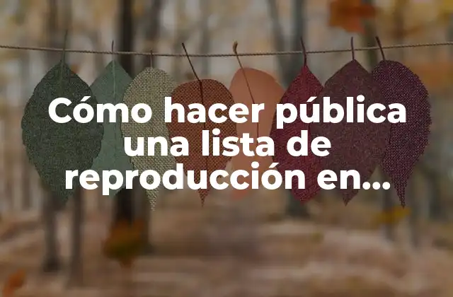 Cómo Hacer Pública una Lista de Reproducción en Youtube