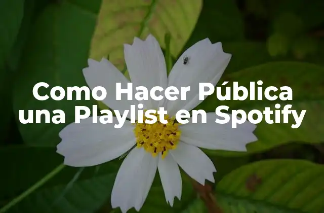 ¿Qué es una Playlist de Spotify y Para Qué Sirve?