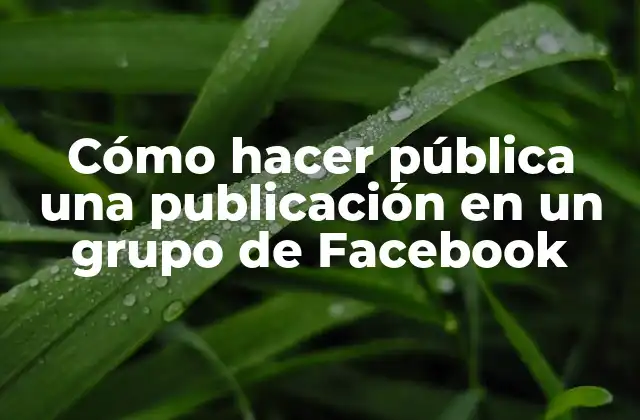 Cómo Hacer Pública una Publicación en un Grupo de Facebook