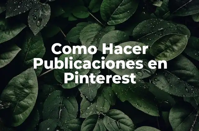 Como Hacer Publicaciones en Pinterest