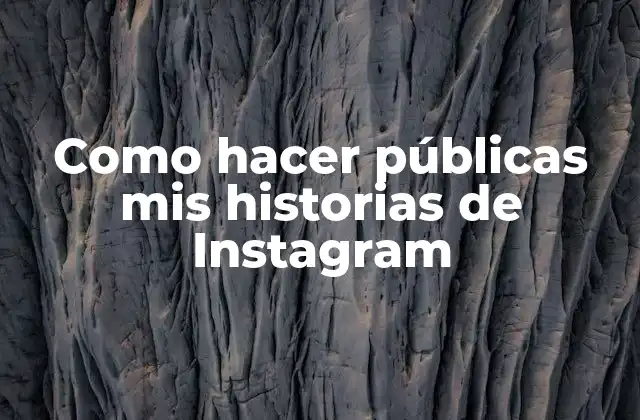 Como Hacer Públicas Mis Historias de Instagram