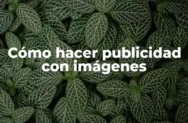 Cómo Hacer Publicidad con Imágenes