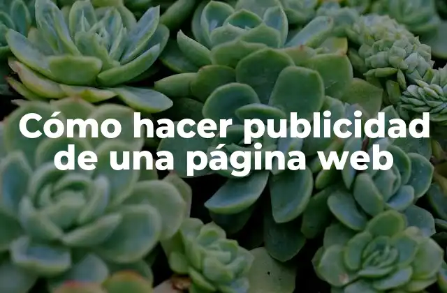Cómo Hacer Publicidad de una Página Web